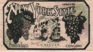 New York State Photo Image Label 1 3/4 x 3-0