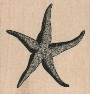 Fat StarFish 2 1/4 x 2 1/4-0