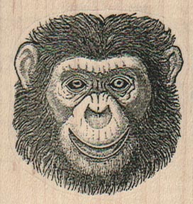 Chimp Face 2 x 2-0