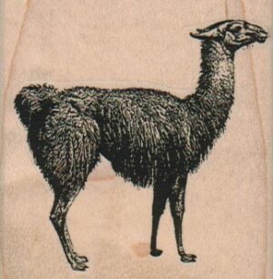 Llama 2 1/4 x 2 1/4-0