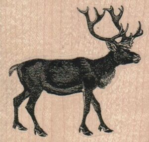 Reindeer 2 3/4 x 2 1/2-0