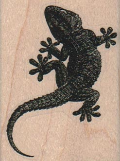 Gecko 1 3/4 x 2 1/4-0