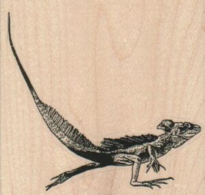 Leapin' Lizard (Large) 3 x 2 3/4-0