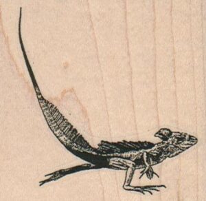 Leapin' Lizard (Small) 2 1/2 x 2 1/4-0