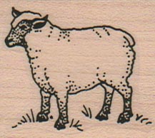 Sheep 1 1/2 x 1 1/2-0