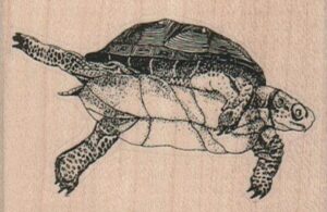 Swimming Turtle (Small) 2 3/4 x 1 3/4-0