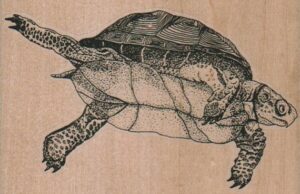 Swimming Turtle (Large) 4 x 2 1/2-0