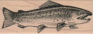 Rainbow Trout (Large) 1 3/4 x 4 1/4-0