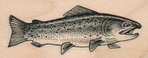 Rainbow Trout (Medium) 1 1/4 x 2 3/4-0