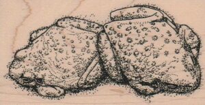 Cozy Toads (Large) 2 1/2 x 4 1/2-0