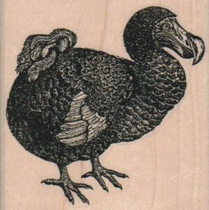 Dodo 2 3/4 x 2 3/4-0