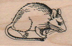 Wood Rat 1 1/4 x 1 3/4-0