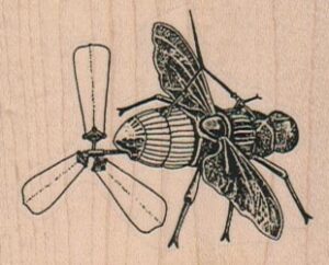 Steampunk Propellor Fly 2 1/4 x 1 3/4-0