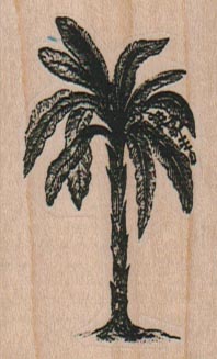 Banana Tree 1 1/2 x 2 1/4-0