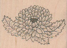 Chrysanthemum 2 1/2 x 1 3/4-0