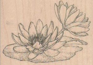 Flowering LilyPad 3 1/4 x 2 1/4-0