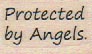 Protected By Angels 3/4 x 1-0