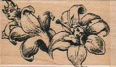Fairy Fowers 1 1/2 x 2 1/2-0
