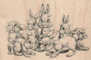 Group Of Rabbits 4 x 2 1/2-0