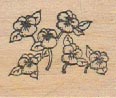 Stamp Affair Mary Helen Gould Flowers 1 x 1 1/4-0