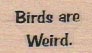 Birds Are Weird 3/4 x 1-0