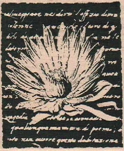 Stampers Anonymous K1-886 Flower Word Background 3 x 2 1/2-0