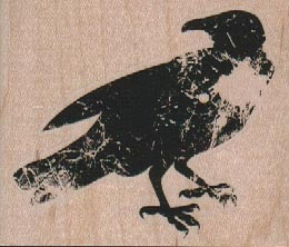 Faded Crow or Raven 2 3/4 x 2 1/4-0