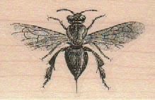 Large Wasp 1 1/2 x 2 1/4-0