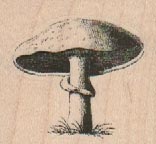 Mushroom 1 3/4 x 1 1/2-0
