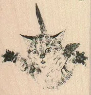 Leaping Kitten 2 x 2-0