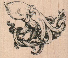 Octopus/Cephalopod 3 x 2 1/2-0