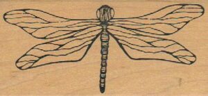 Magenta Dragonfly 2 x 4-0