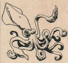 Large Cephalopod by Brian Kesinger 2 1/2 x 2 1/4-0