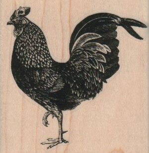 Rooster 2 1/4 x 2 1/4-0