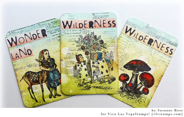 Wilderness 3/4 x 2 1/2-44649
