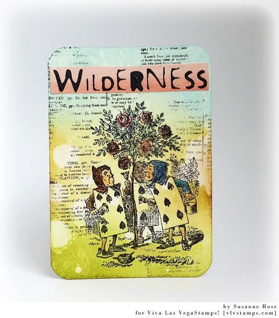 Wilderness 3/4 x 2 1/2-44650