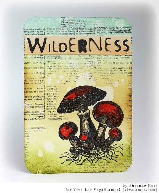Wild Mushrooms 2 x 2-44653
