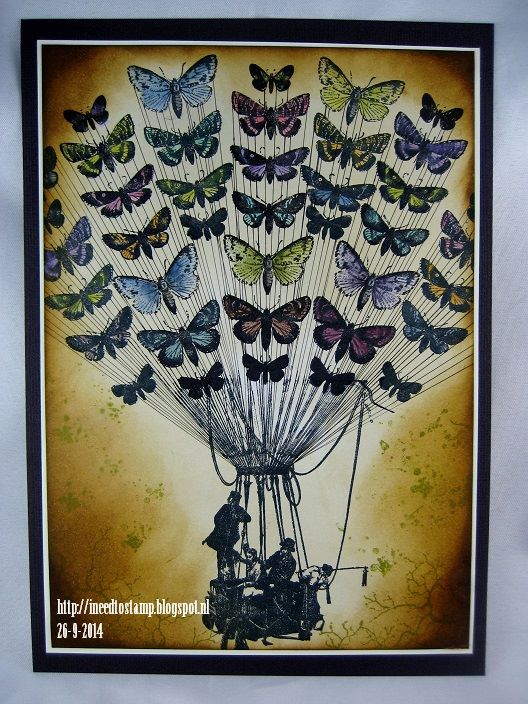 Butterfly Specimens 1 1/2 x 4 1/2-42667