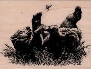 Bear with Butterfly 2 3/4 x 3 1/2-0