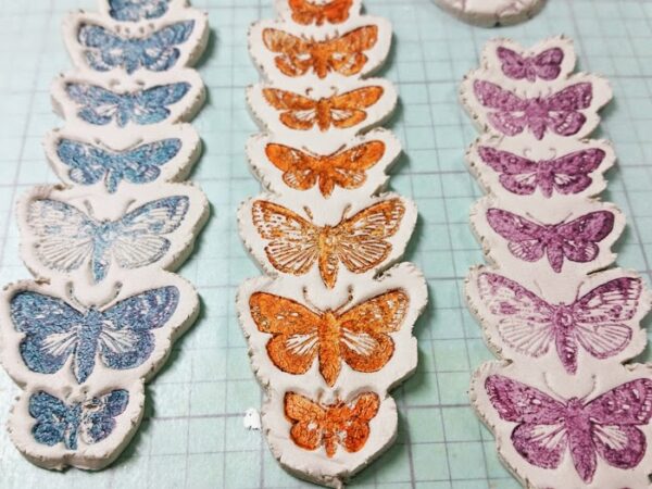 Butterfly Specimens 1 1/2 x 4 1/2-43283