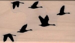 Flock of Geese 1 3/4 x 3-0