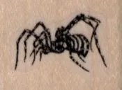Striped Spider 1 / 3/4-0