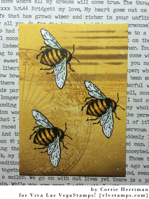 Bumble Bee 1 1/4 x 1 3/4-45581