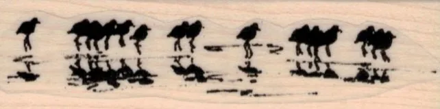 Sandpipers on Beach 1 x 3 1/4-0