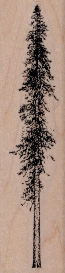 Skinny Fir Tree 1 1/4 x 4 1/2-0