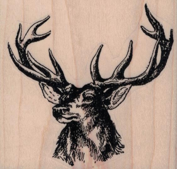 Deer Head by Cat Kerr 3 x 2 3/4-0