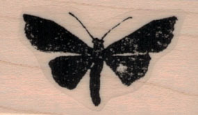 Distressed Butterfly Silhouette 1 x 1 1/2-0