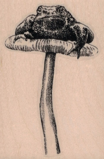 Toad On Toadstool 2 x 2 3/4-0