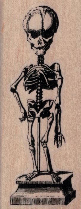 Skeleton On Pedestal 1 1/2 x 3 1/2-0
