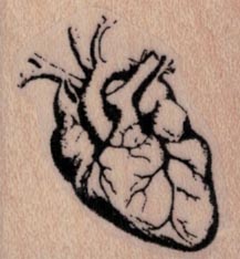 Human Heart by Cat Kerr 1 1/4 x 1 1/4-0